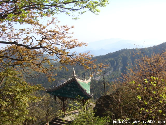 DSC01009.JPG