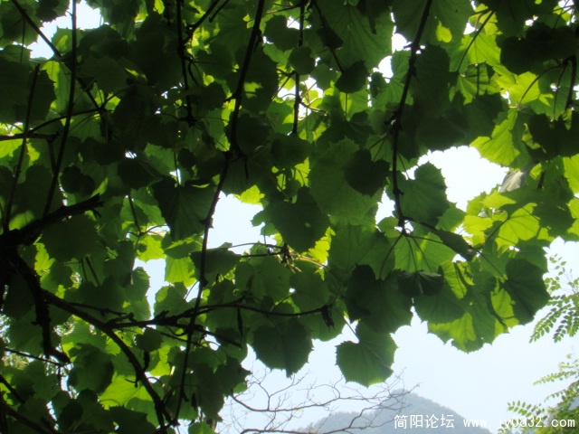 DSC01082.JPG
