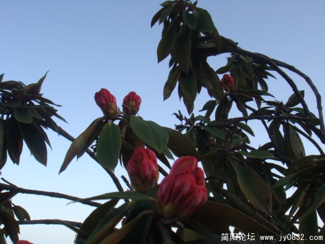 DSC00988.JPG
