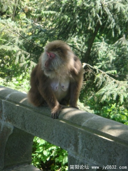 DSC01062.JPG