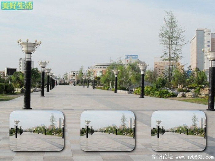 SDC10050.JPG