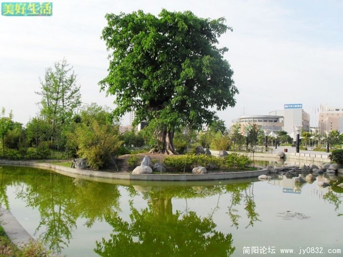 SDC10052.JPG