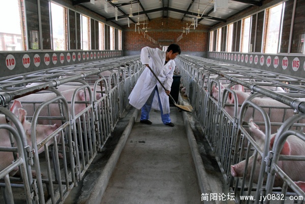 简阳市三级良繁体系扩繁场1.JPG