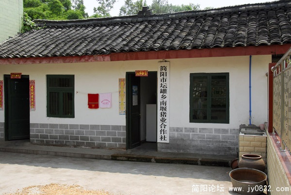 简阳市南堰村生态猪业家园6.JPG