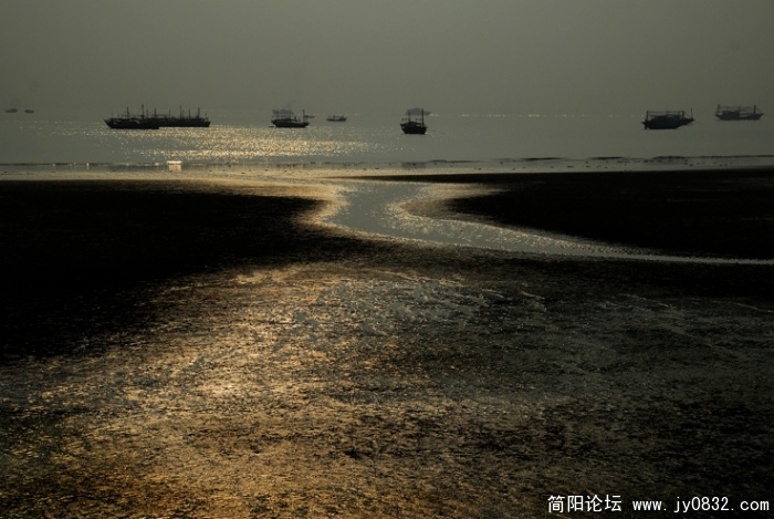 滩涂夕照.jpg