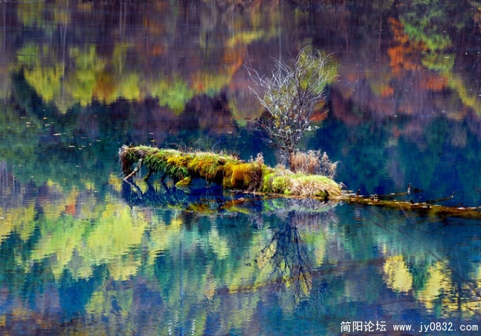 九寨秋艳.jpg