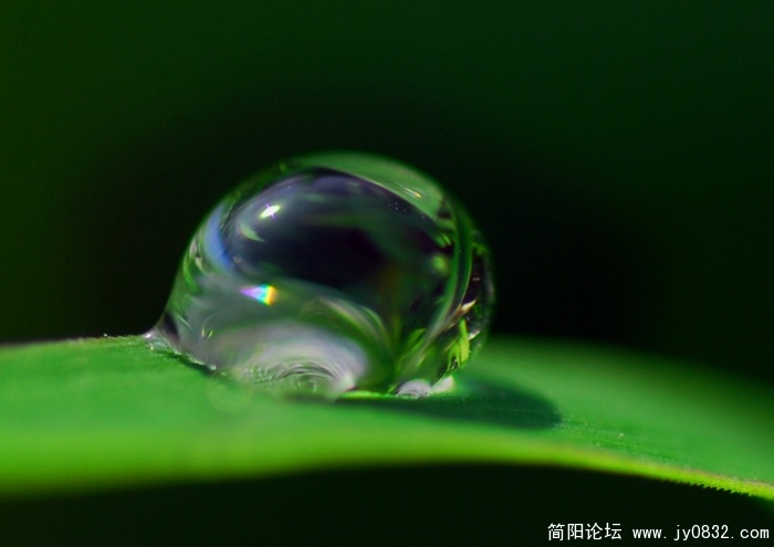 晶莹.JPG
