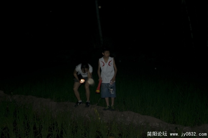 2_133.jpg