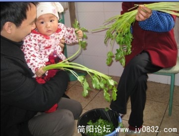 叶儿成长之9个月
