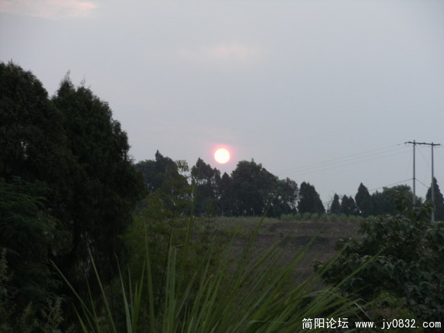 2009.6.6 035.JPG
