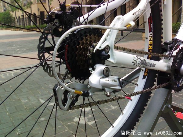 20090608851.jpg