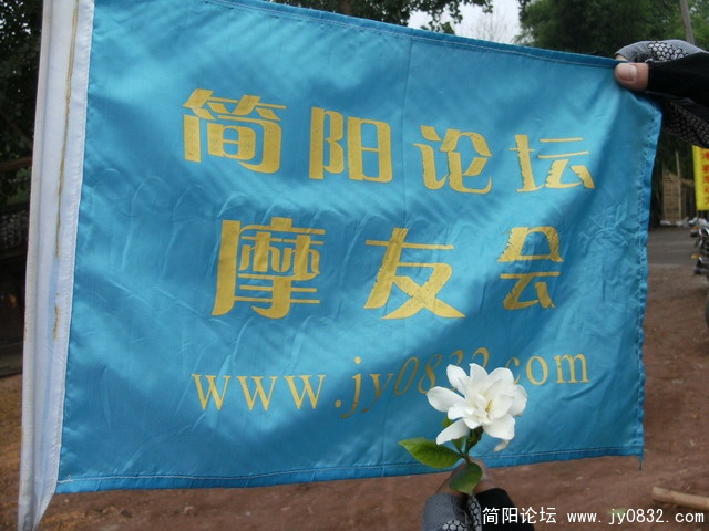 漂亮的会旗