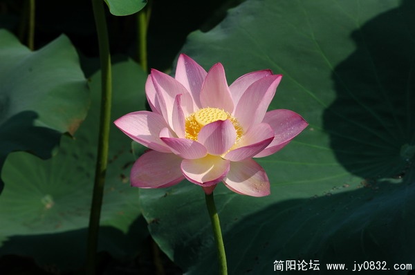 DSC_5919_调整大小.JPG