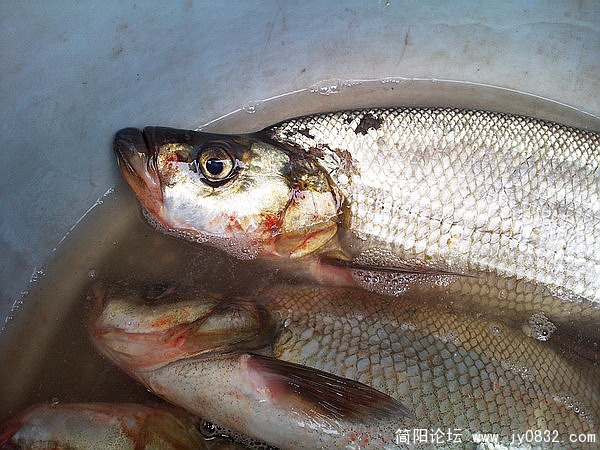 照片1438_调整大小.jpg