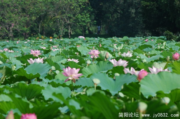 DSC_5916_调整大小.JPG