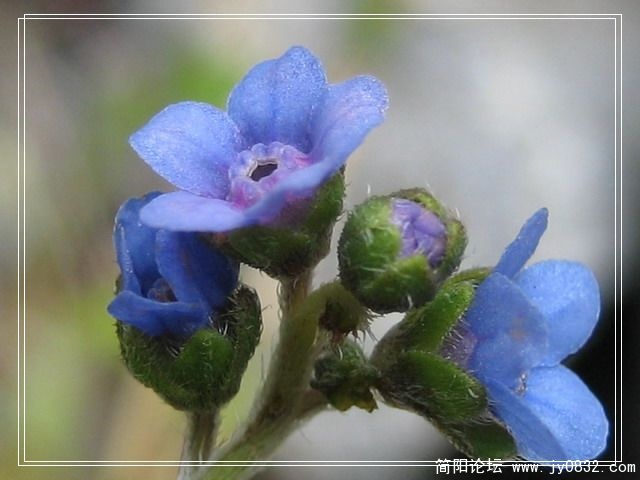 IMG_2035.jpg