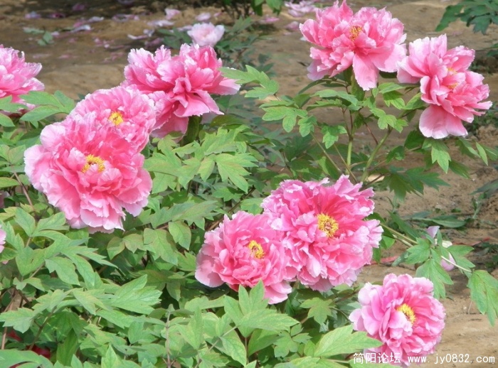 05.jpg