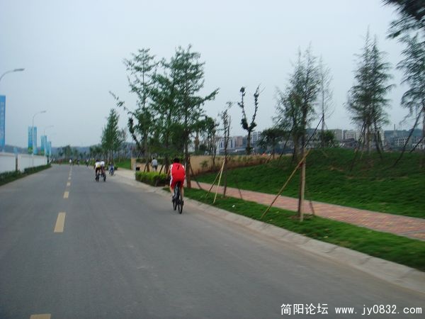 DSC06764.jpg
