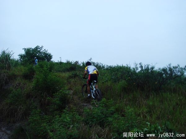 DSC06818.jpg