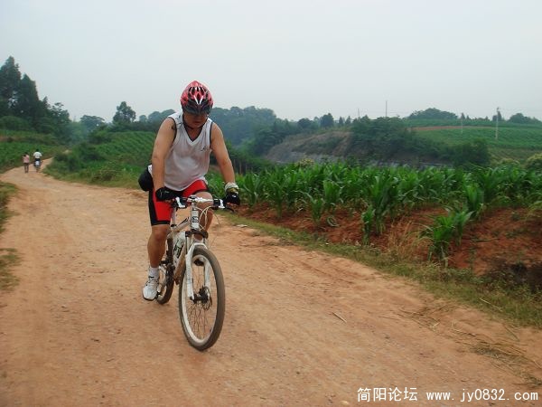 管他的，埋起头瞪就是