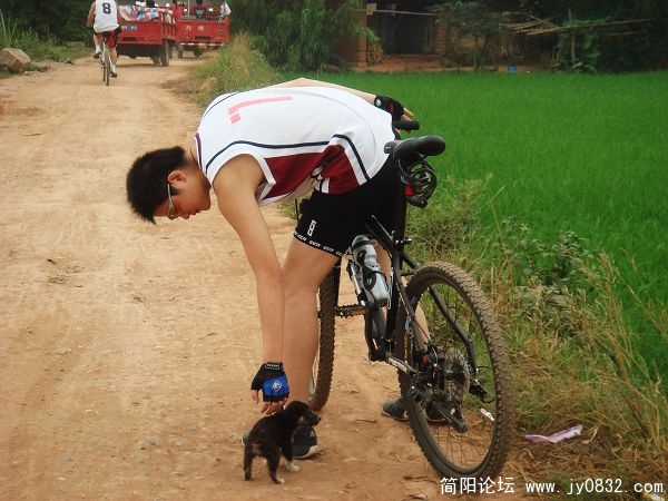 路边的小狗，好可怜