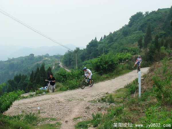 在山坡上，能看到美丽的风景
