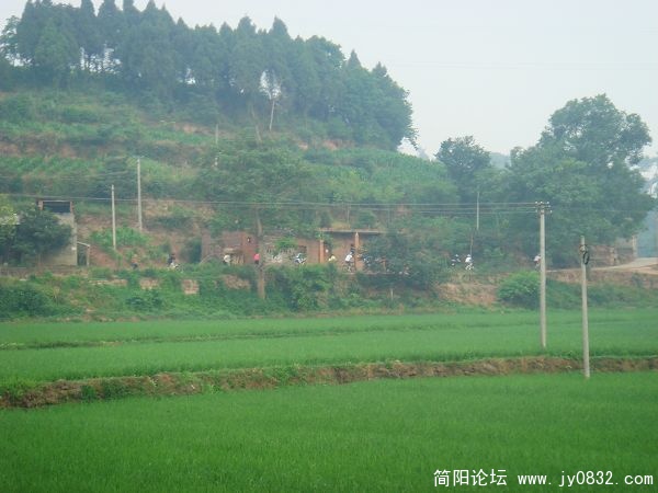 空气巴适，还有稻田的清香