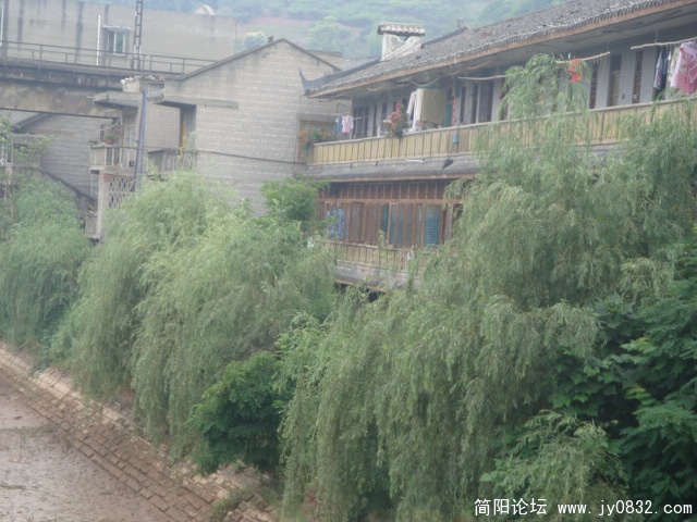 DSC00729.JPG