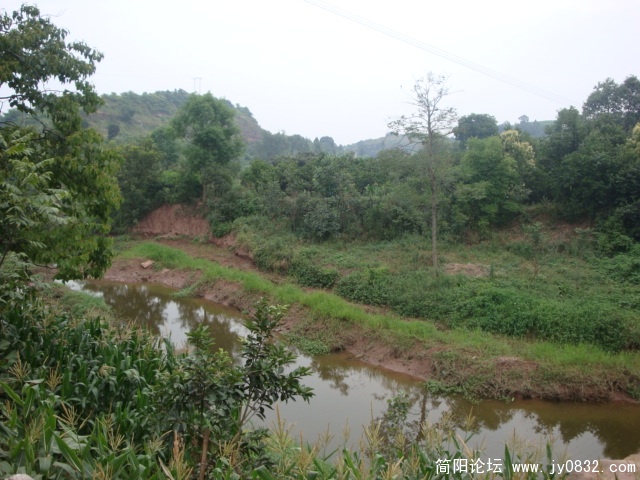 DSC00764.JPG