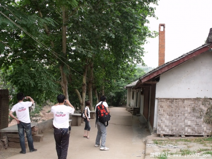 25.jpg