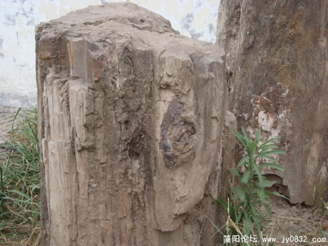 DSC00756.JPG