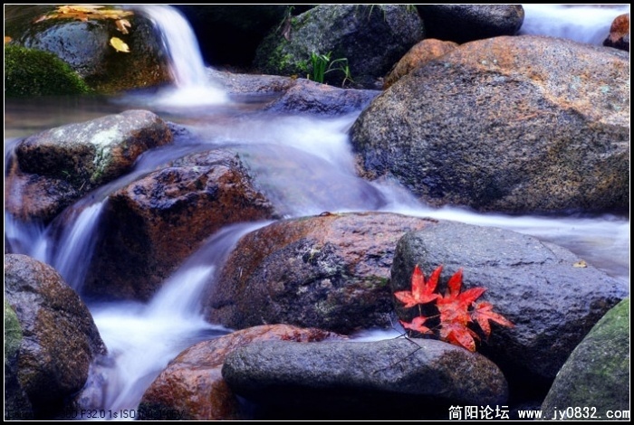 20090530_4a355fa7787350a0789fqyK17Dcl6d98.jpg