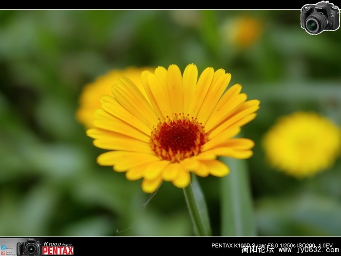 IMGP0166.jpg