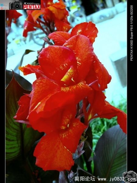 IMGP0102.jpg