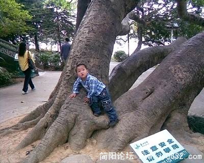 复件 图像113S1.jpg