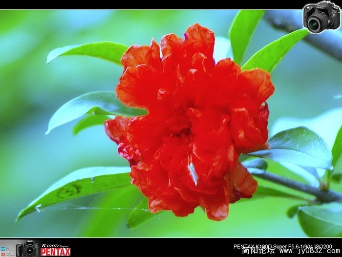 IMGP0113.jpg