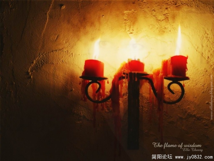 20081108_d21eff2ae36cef1a0d7bKLzR3XPzmKIT.JPG