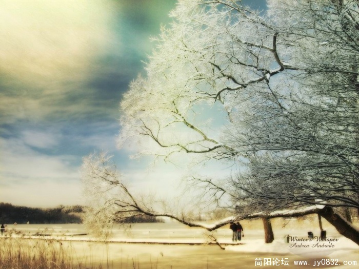 20081108_2c6cdba814d0ab00221aCbZfuapvDT6L.JPG