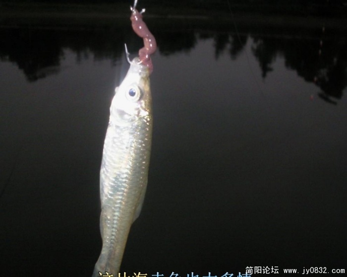 我的好小
