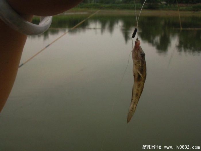啥子哦，看哈 我的 呢