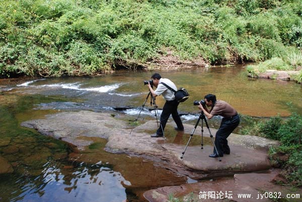 姿态.jpg