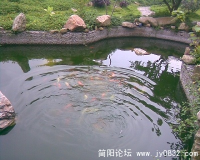 图像023.jpg
