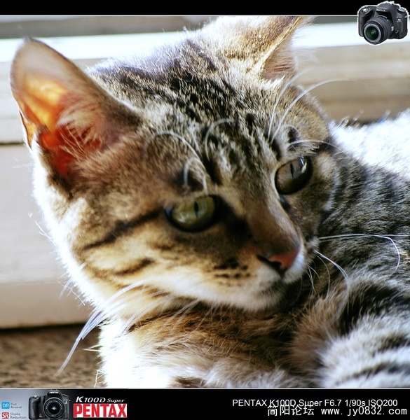 IMGP0290.jpg
