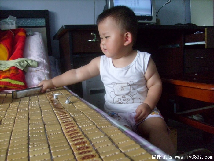 S7309000.jpg
