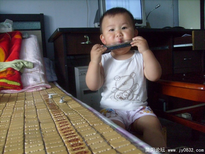 S7309001.jpg