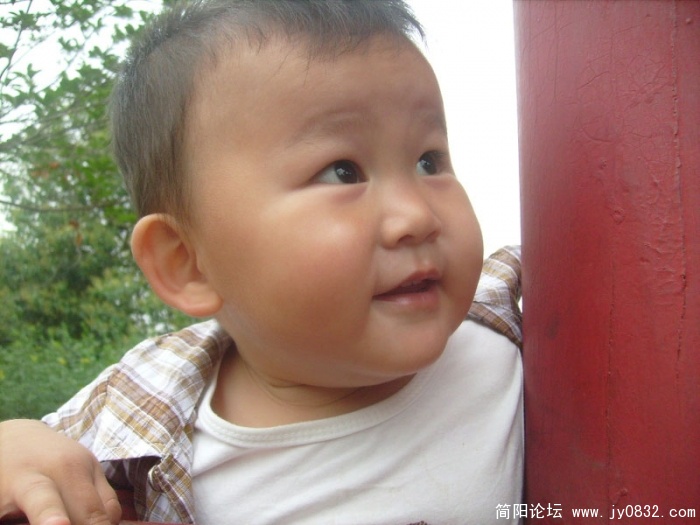 S7308978.jpg