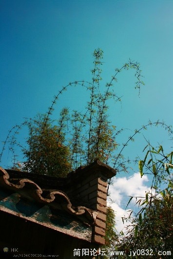 草池