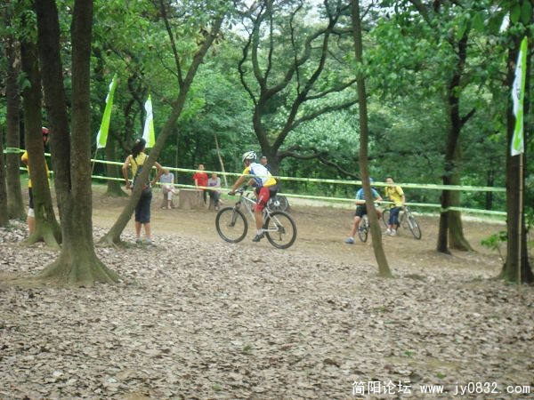 DSC07237.jpg