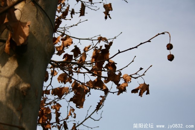 三岔