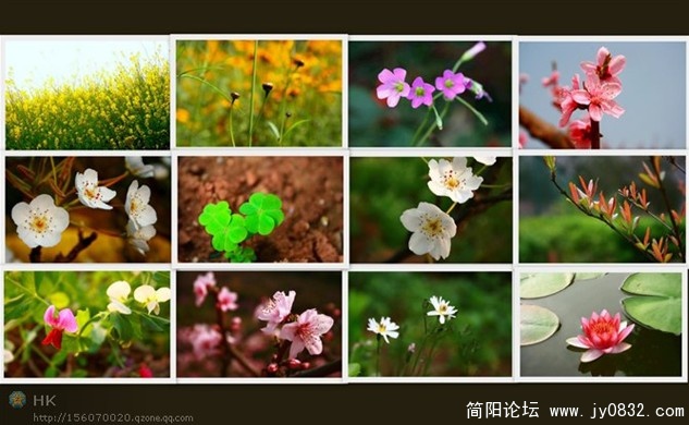 全是田坝头看得到的